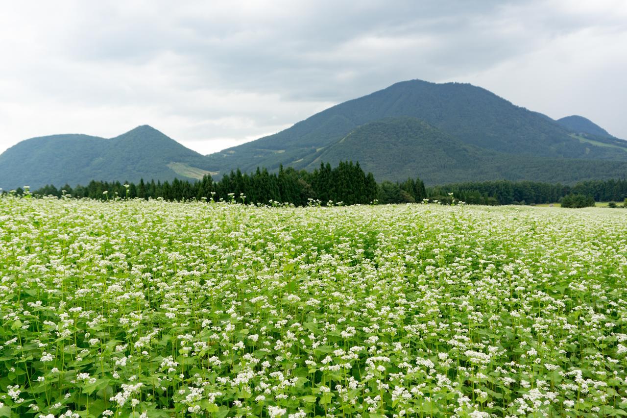 Aibiya Bed and Breakfast Yamanouchi  Exteriör bild